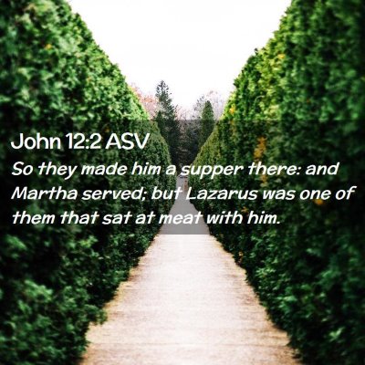 Picture 02 - John 12:2 ASV - So they made him a supper there: and Martha - Bible Verse Picture