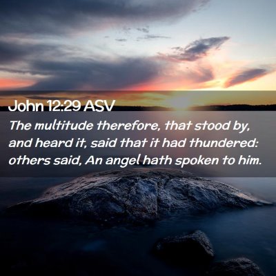 Picture 02 - John 12:29 ASV - The multitude therefore, that stood by, and heard - Bible Verse Picture