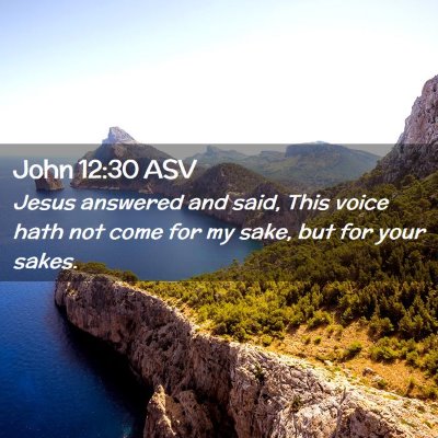 Picture 02 - John 12:30 ASV - Jesus answered and said, This voice hath not come - Bible Verse Picture