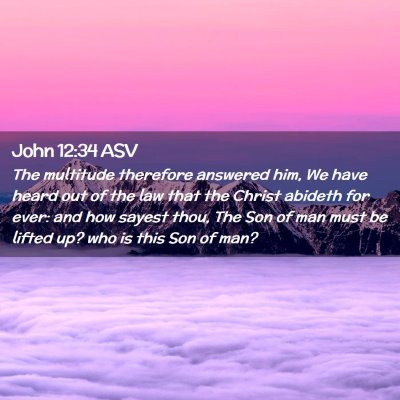 Picture 02 - John 12:34 ASV - The multitude therefore answered him, We have - Bible Verse Picture