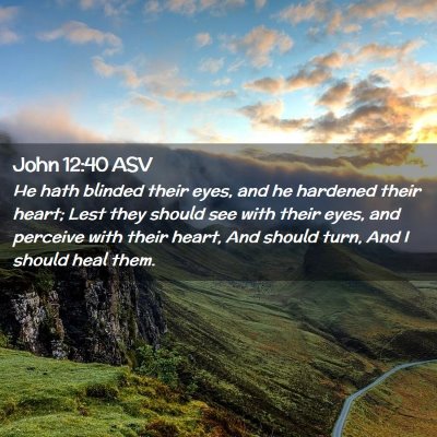 Picture 02 - John 12:40 ASV - He hath blinded their eyes, and he hardened their - Bible Verse Picture