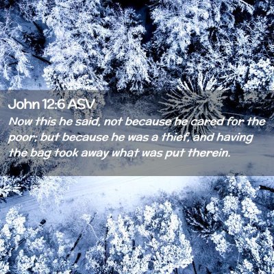 Picture 02 - John 12:6 ASV - Now this he said, not because he cared for the - Bible Verse Picture