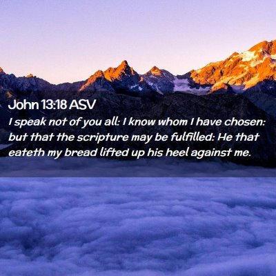 Picture 02 - John 13:18 ASV - I speak not of you all: I know whom I have - Bible Verse Picture