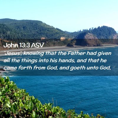 Picture 02 - John 13:3 ASV - `Jesus', knowing that the Father had given all - Bible Verse Picture