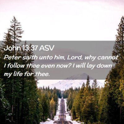 Picture 02 - John 13:37 ASV - Peter saith unto him, Lord, why cannot I follow - Bible Verse Picture