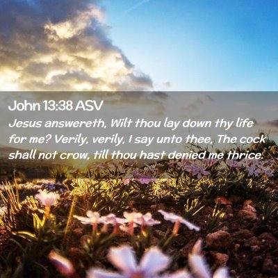 Picture 02 - John 13:38 ASV - Jesus answereth, Wilt thou lay down thy life for - Bible Verse Picture