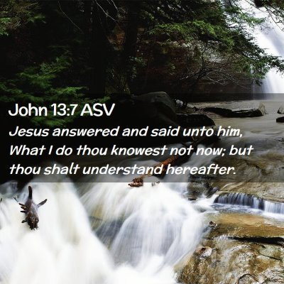 Picture 02 - John 13:7 ASV - Jesus answered and said unto him, What I do thou - Bible Verse Picture