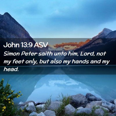 Picture 02 - John 13:9 ASV - Simon Peter saith unto him, Lord, not my feet - Bible Verse Picture