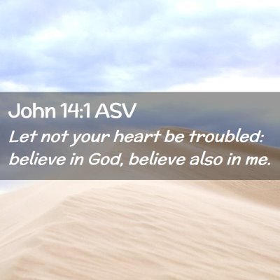 Picture 02 - John 14:1 ASV - Let not your heart be troubled: believe in God, - Bible Verse Picture