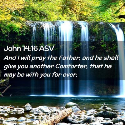 Picture 02 - John 14:16 ASV - And I will pray the Father, and he shall give you - Bible Verse Picture
