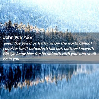 Picture 02 - John 14:17 ASV - `even' the Spirit of truth: whom the world cannot - Bible Verse Picture