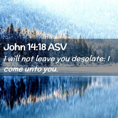 Picture 02 - John 14:18 ASV - I will not leave you desolate: I come unto - Bible Verse Picture