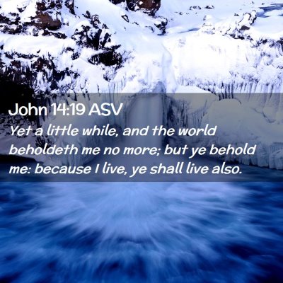 Picture 02 - John 14:19 ASV - Yet a little while, and the world beholdeth me no - Bible Verse Picture