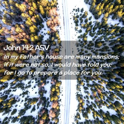 Picture 02 - John 14:2 ASV - In my Father's house are many mansions; if it - Bible Verse Picture
