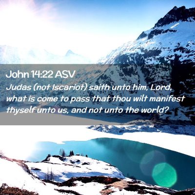 Picture 02 - John 14:22 ASV - Judas (not Iscariot) saith unto him, Lord, what - Bible Verse Picture