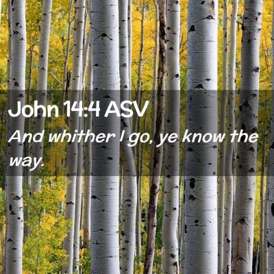 Picture 02 - John 14:4 ASV - And whither I go, ye know the - Bible Verse Picture