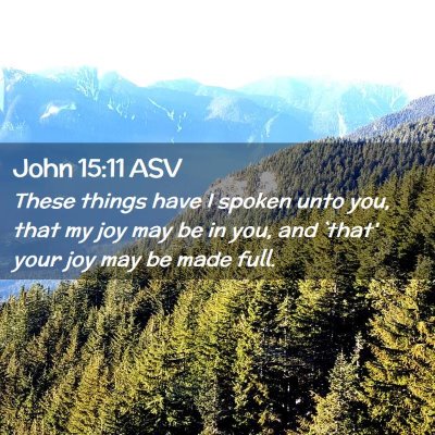 Picture 02 - John 15:11 ASV - These things have I spoken unto you, that my joy - Bible Verse Picture