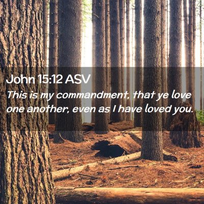 Picture 02 - John 15:12 ASV - This is my commandment, that ye love one another, - Bible Verse Picture