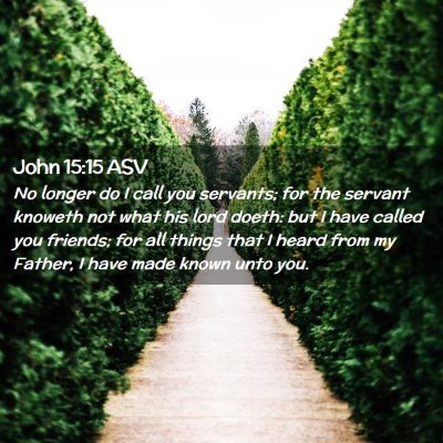 Picture 02 - John 15:15 ASV - No longer do I call you servants; for the servant - Bible Verse Picture