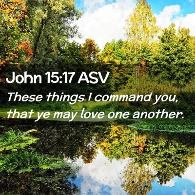 Picture 02 - John 15:17 ASV - These things I command you, that ye may love one - Bible Verse Picture