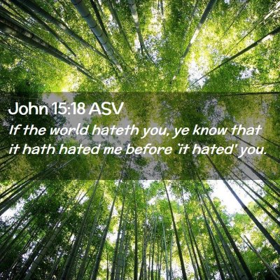 Picture 02 - John 15:18 ASV - If the world hateth you, ye know that it hath - Bible Verse Picture