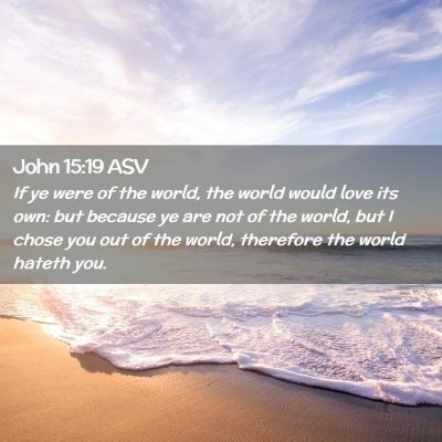 Picture 02 - John 15:19 ASV - If ye were of the world, the world would love its - Bible Verse Picture