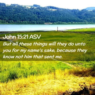 Picture 02 - John 15:21 ASV - But all these things will they do unto you for my - Bible Verse Picture