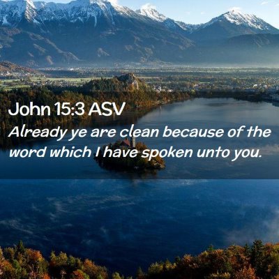 Picture 02 - John 15:3 ASV - Already ye are clean because of the word which I - Bible Verse Picture