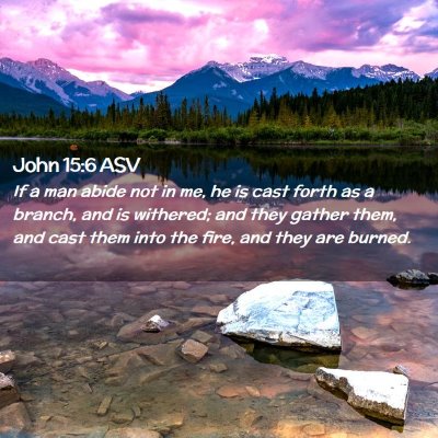 Picture 02 - John 15:6 ASV - If a man abide not in me, he is cast forth as a - Bible Verse Picture