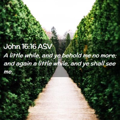 Picture 02 - John 16:16 ASV - A little while, and ye behold me no more; and - Bible Verse Picture