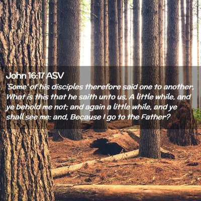 Picture 02 - John 16:17 ASV - `Some' of his disciples therefore said one to - Bible Verse Picture