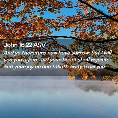 Picture 02 - John 16:22 ASV - And ye therefore now have sorrow: but I will see - Bible Verse Picture