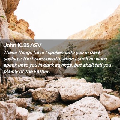 Picture 02 - John 16:25 ASV - These things have I spoken unto you in dark - Bible Verse Picture