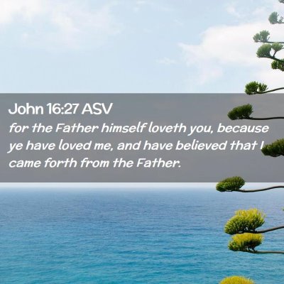 Picture 02 - John 16:27 ASV - for the Father himself loveth you, because ye - Bible Verse Picture