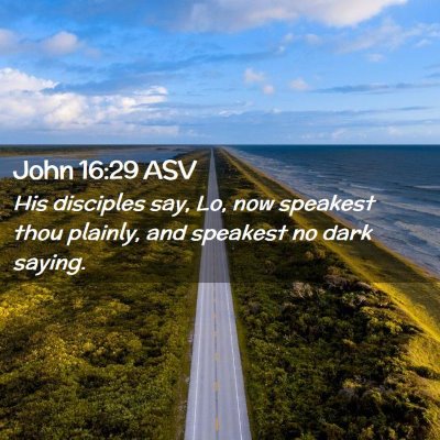 Picture 02 - John 16:29 ASV - His disciples say, Lo, now speakest thou plainly, - Bible Verse Picture