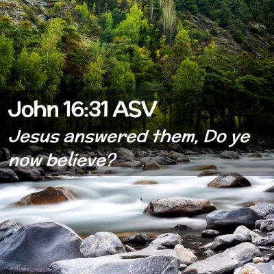Picture 02 - John 16:31 ASV - Jesus answered them, Do ye now - Bible Verse Picture