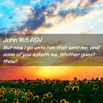 Picture 02 - John 16:5 ASV - But now I go unto him that sent me; and none of - Bible Verse Picture