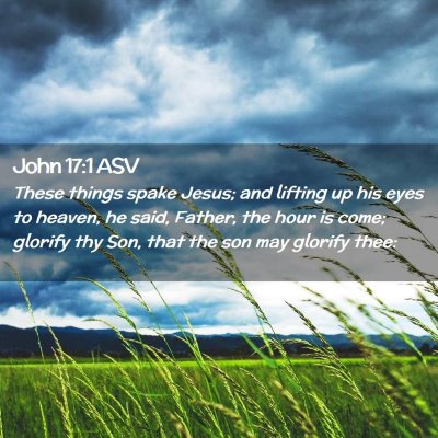 Picture 02 - John 17:1 ASV - These things spake Jesus; and lifting up his eyes - Bible Verse Picture