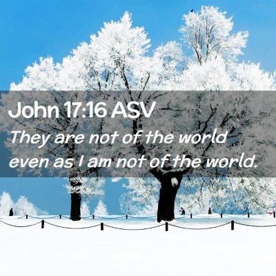 Picture 02 - John 17:16 ASV - They are not of the world even as I am not of the - Bible Verse Picture