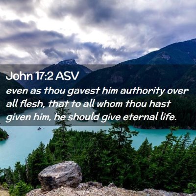 Picture 02 - John 17:2 ASV - even as thou gavest him authority over all flesh, - Bible Verse Picture