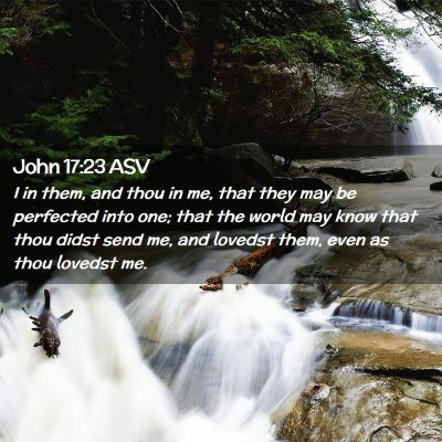 Picture 02 - John 17:23 ASV - I in them, and thou in me, that they may be - Bible Verse Picture