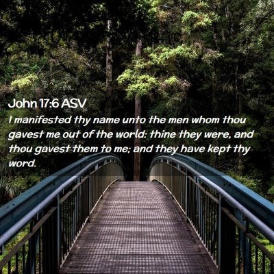 Picture 02 - John 17:6 ASV - I manifested thy name unto the men whom thou - Bible Verse Picture