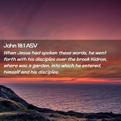 Picture 02 - John 18:1 ASV - When Jesus had spoken these words, he went forth - Bible Verse Picture