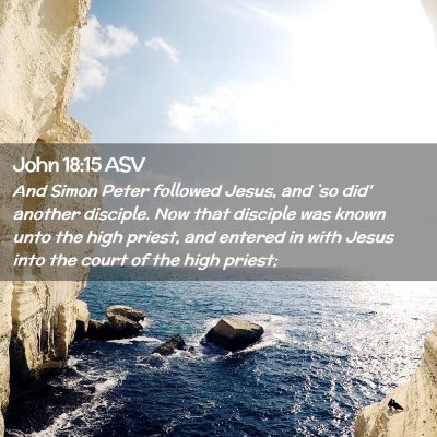 Picture 02 - John 18:15 ASV - And Simon Peter followed Jesus, and `so did' - Bible Verse Picture