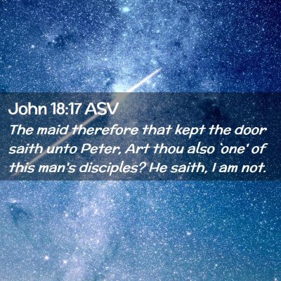 Picture 02 - John 18:17 ASV - The maid therefore that kept the door saith unto - Bible Verse Picture