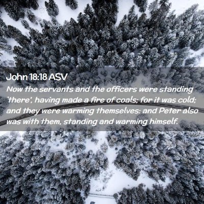 Picture 02 - John 18:18 ASV - Now the servants and the officers were standing - Bible Verse Picture