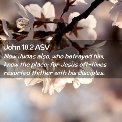 Picture 02 - John 18:2 ASV - Now Judas also, who betrayed him, knew the place: - Bible Verse Picture