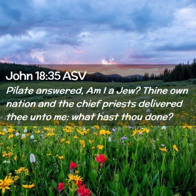 Picture 02 - John 18:35 ASV - Pilate answered, Am I a Jew? Thine own nation and - Bible Verse Picture