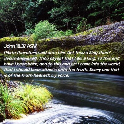 Picture 02 - John 18:37 ASV - Pilate therefore said unto him, Art thou a king - Bible Verse Picture