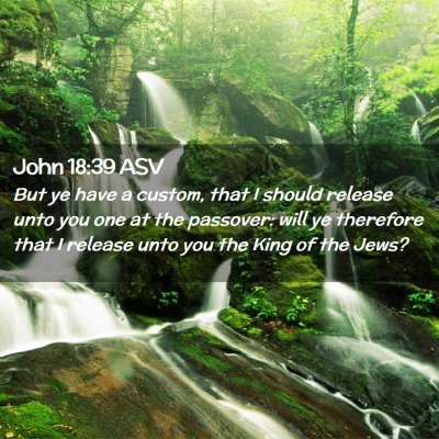 Picture 02 - John 18:39 ASV - But ye have a custom, that I should release unto - Bible Verse Picture